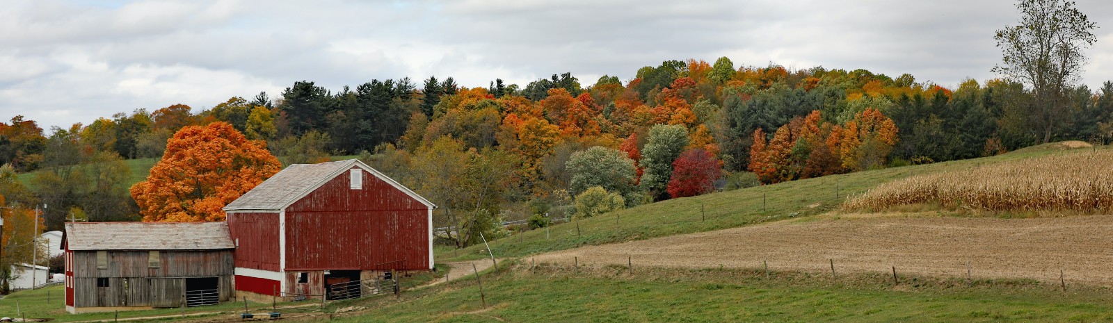 barn on farm in fall